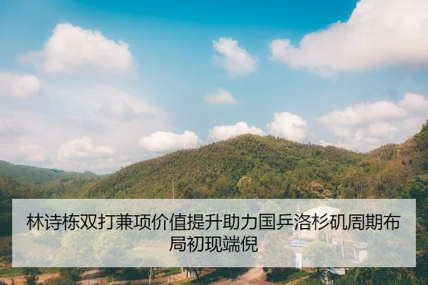 林诗栋双打兼项价值提升助力国乒洛杉矶周期布局初现端倪