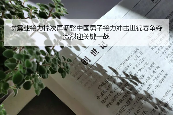 谢震业接力棒次再调整中国男子接力冲击世锦赛争夺激烈迎关键一战