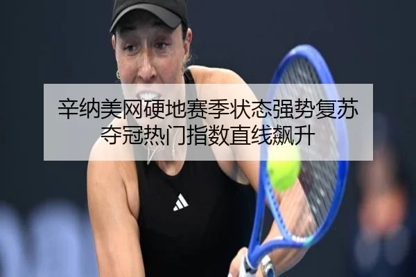 辛纳美网硬地赛季状态强势复苏 夺冠热门指数直线飙升