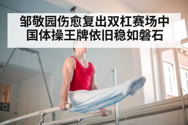 邹敬园伤愈复出双杠赛场中国体操王牌依旧稳如磐石