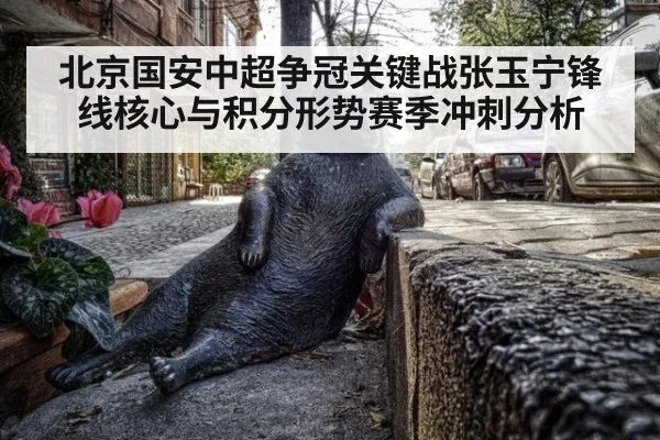 北京国安中超争冠关键战张玉宁锋线核心与积分形势赛季冲刺分析